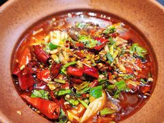 -福照楼汽锅鸡·云南菜(护国路店)