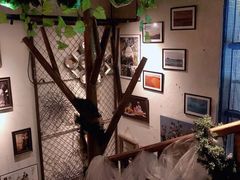 -杂咖zacup(领展中心城店)