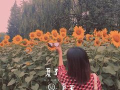 -长春奥林匹克公园