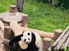 -沈阳森林动物园