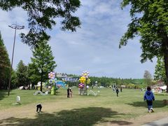 -黄海国家森林公园