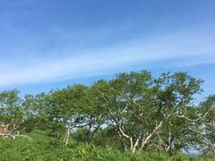 -凤凰山国家森林公园