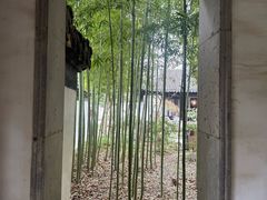 -秋霞圃