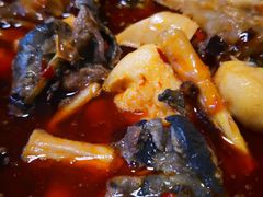 -黑竹香鸡(营和巷店)