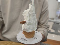 -野人先生Gelato(上海长宁龙之梦店)