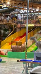 点击看大图 -卡通尼·Safari非洲探索乐园·生日会(金桥国际商业广场店)