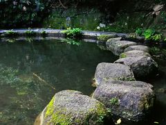 -燕晗山郊野公园