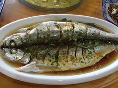 -呼吸森林·生态农庄农家乐私房菜