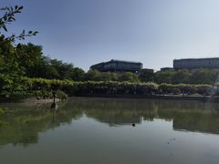 -嘉定紫藤园