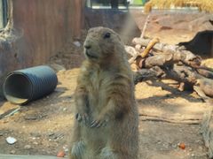 -大连森林动物园