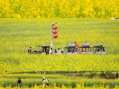 -光明小镇欢乐田园