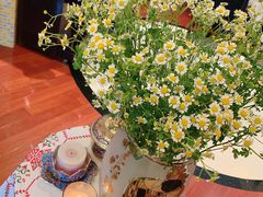 -双季花艺园艺市场(浦东店)