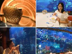 -迪拜帆船酒店海底餐厅