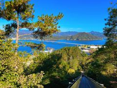 -千岛湖天屿景区