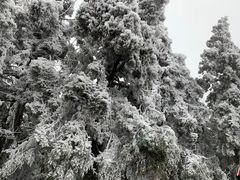 -南岳衡山风景名胜区