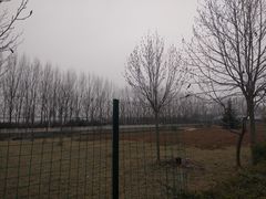 -白鹿原葡萄主题公园