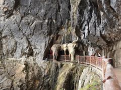 -塔云山