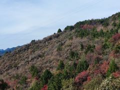 -红螺寺