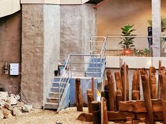 -金太粽(上海弄堂第一粽店)