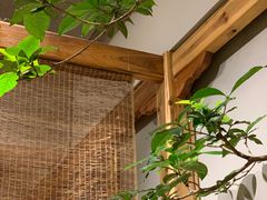 -本处·素食·融合料理(南油店)
