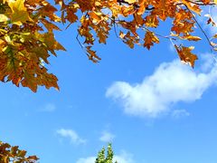 -北京西山国家森林公园