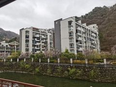 -朝阳沟