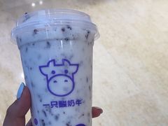 -一只酸奶牛(时代天街A馆店)