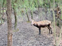 -溱湖国家湿地公园