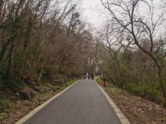 -大蜀山国家森林公园