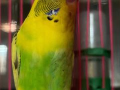 -星聚会KTV(苏州信投大厦店)