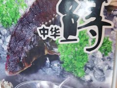 -醉美东江·三文鱼·烧鸡公