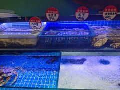 水产区-鸽子侯·家宴·平价海鲜(市图书馆店)