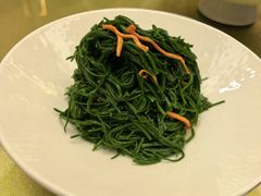 凉拌沙葱-内蒙古驻京办餐厅