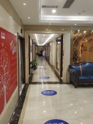 -碧莲盛·不剃发植发