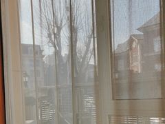 -子霖南山鲜虾面(南山总店)