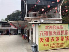 门面-天强农家菜馆