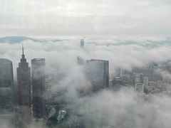 -明姨仔潮汕美食·碳炉猪脚·汕尾牛腩饭·起片鸡煲(起义路店)