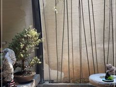-觀芷隐轩