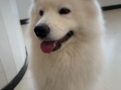 -共舞时光猫咖·狗咖(新街口店)