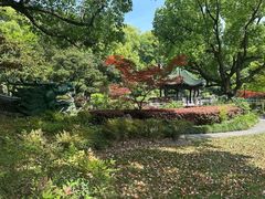 -申粤轩酒楼·三十年粤菜经典(丁香花园店)
