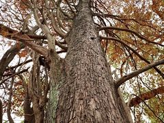 -华南国家植物园-售票处