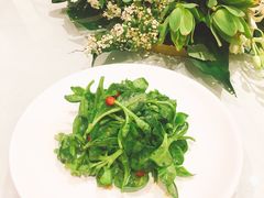 炝拌田七菜-九十九顶毡房(阜石路店)