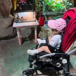 -酷嗒动物文化乐园(cutezoo西溪乐天城店)