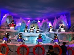 -帝企鹅自助餐厅•儿童岛•真企鹅(长隆企鹅酒店)