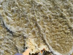 -惠州金海湾嘉华度假酒店