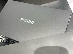 -PEDRO(Jewel Changi Airport)
