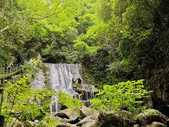 -藏龙百瀑风景区