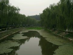 -白洋淀景区