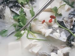 -宝荣鱼馆·临湖之宴(千岛湖店)