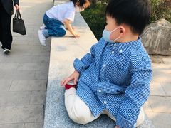 -莲湖公园